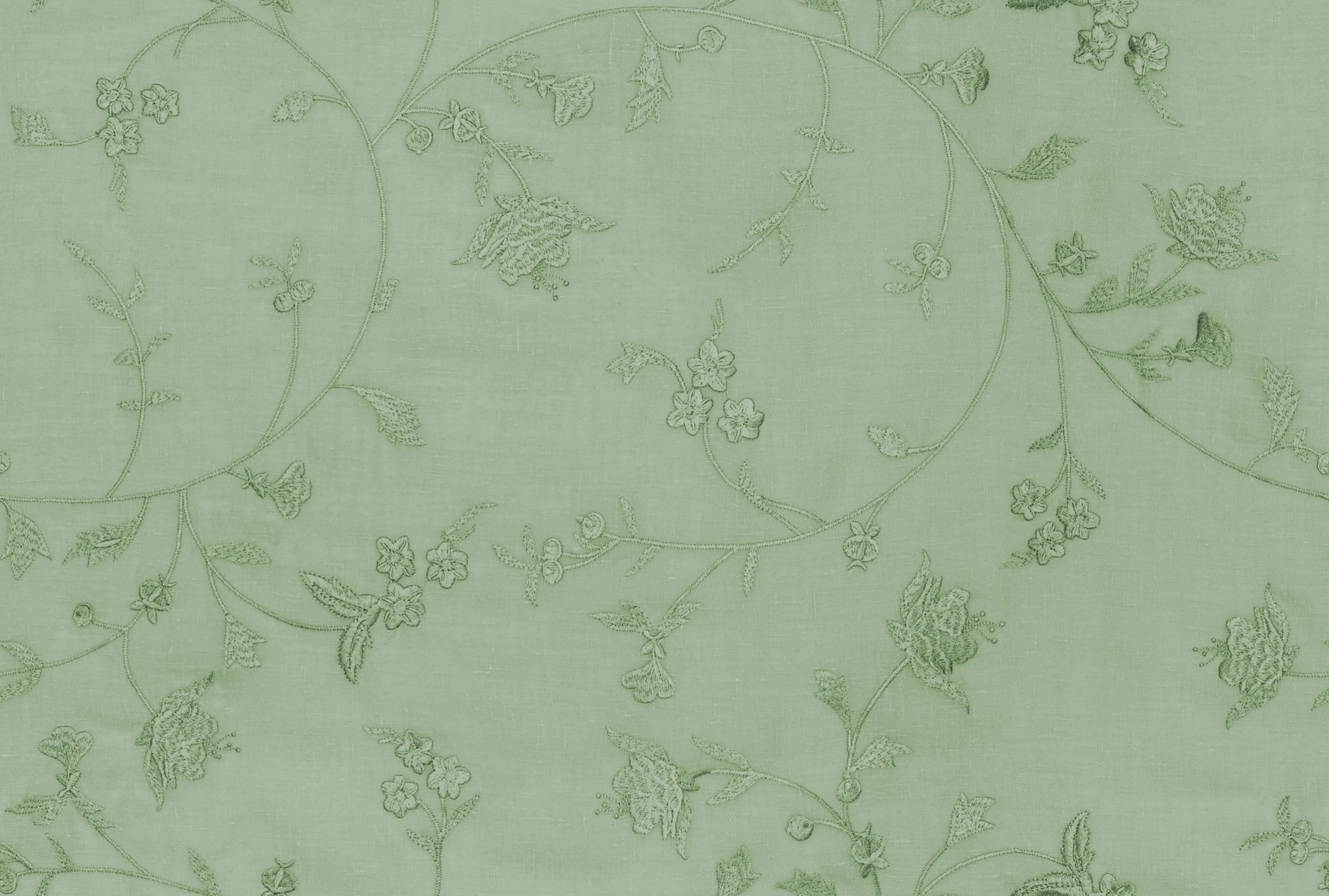 Nomad's Diary Edition 4 - Bellflower | Made to Order Light Filtering Curtains Bellflower-Fern