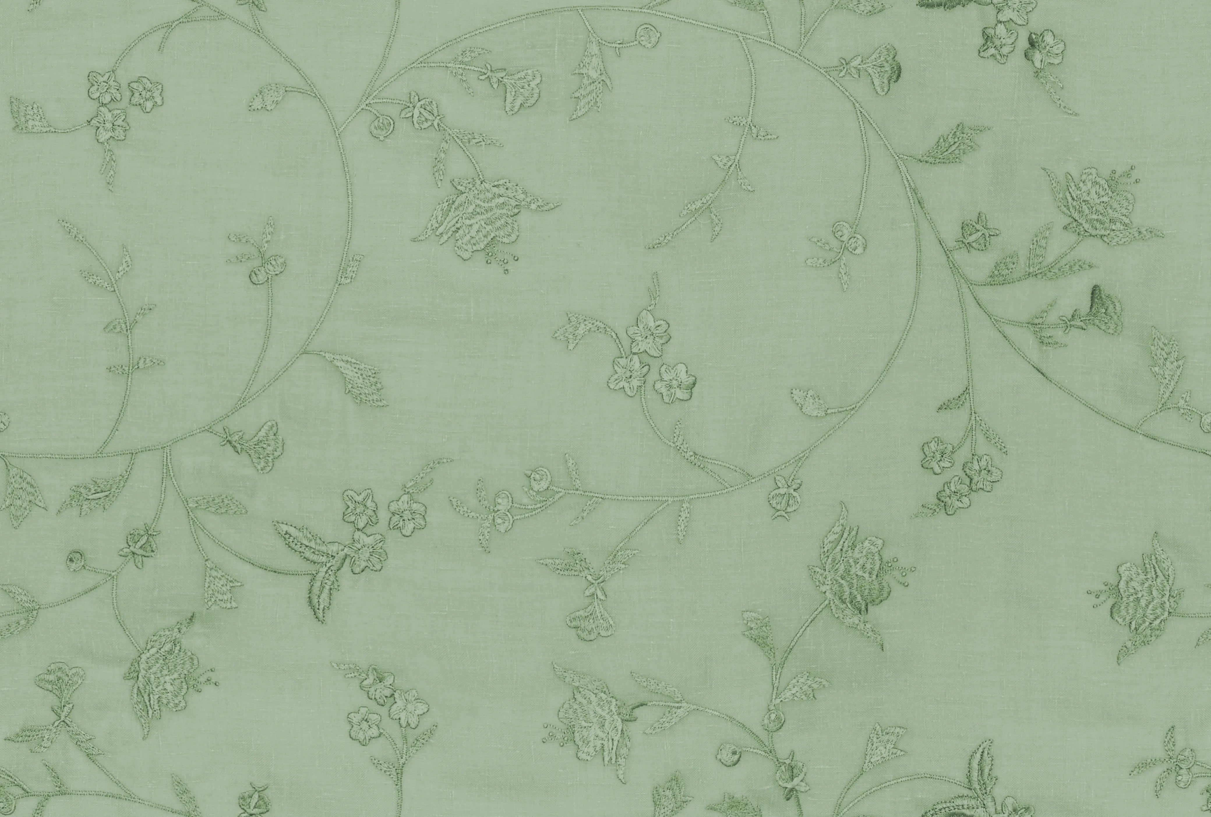 Nomad's Diary Edition 4 - Bellflower | Made to Order Light Filtering Curtains Bellflower-Fern