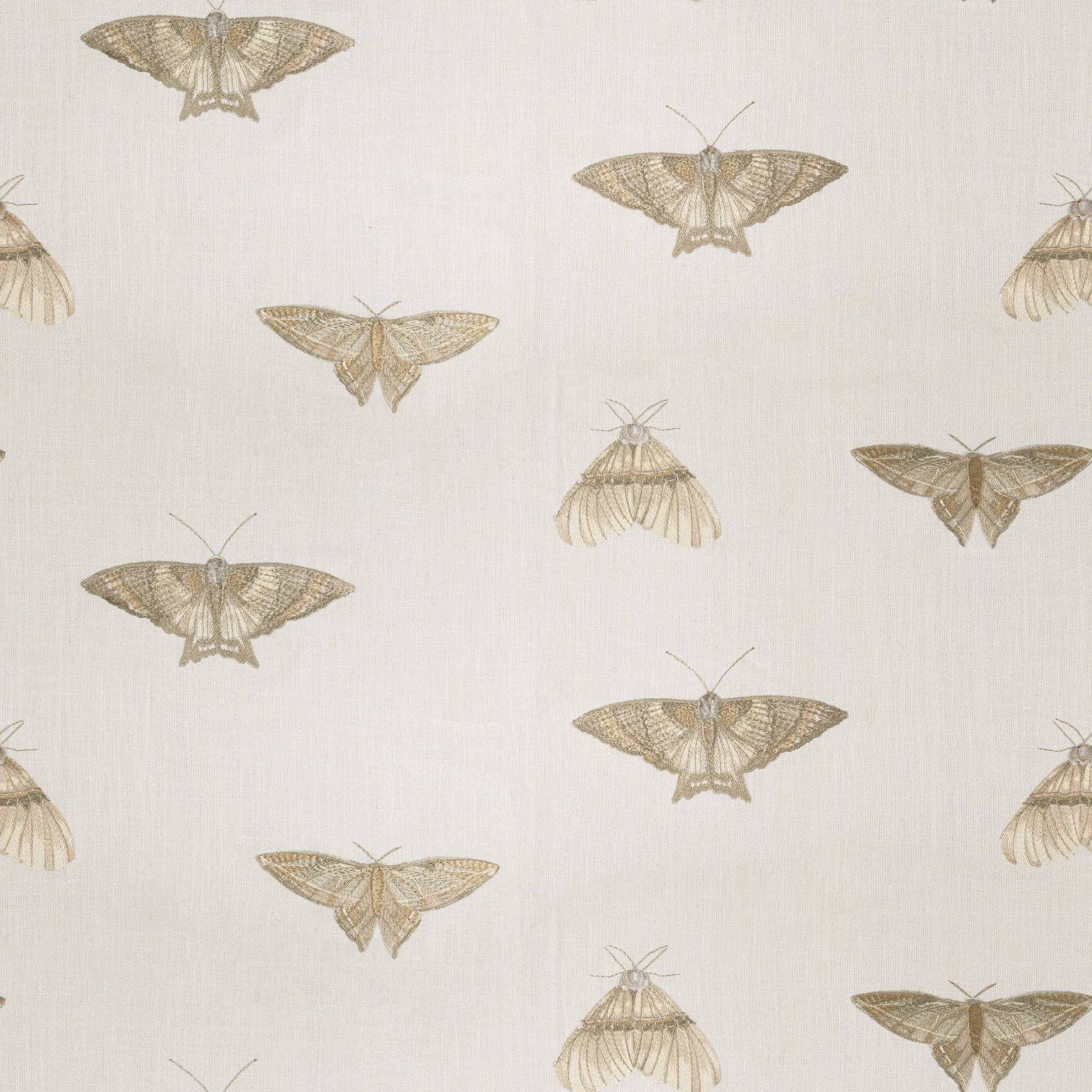 Nomad's Diary Edition 3 - Wizzy | Multipurpose Fabric Wizzy-Cornsilk