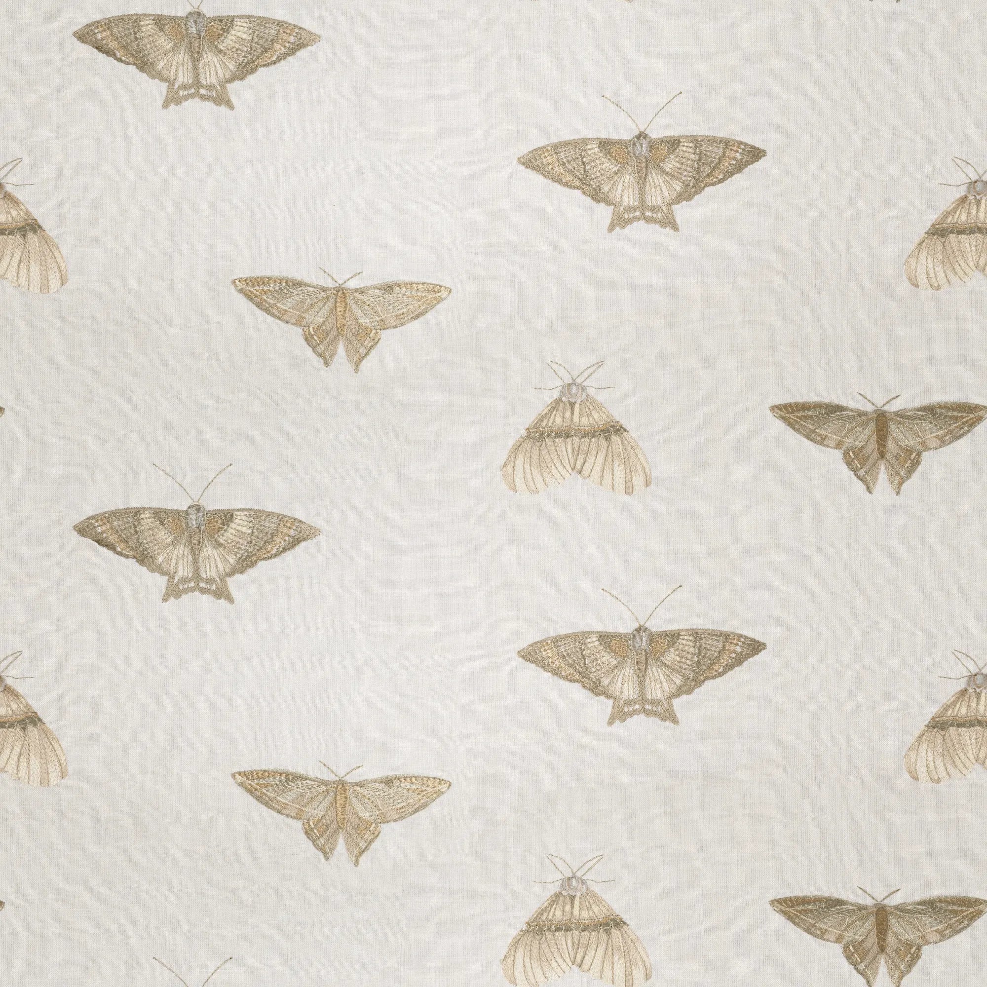 Nomad's Diary Edition 3 - Wizzy | Multipurpose Fabric Wizzy-Cornsilk