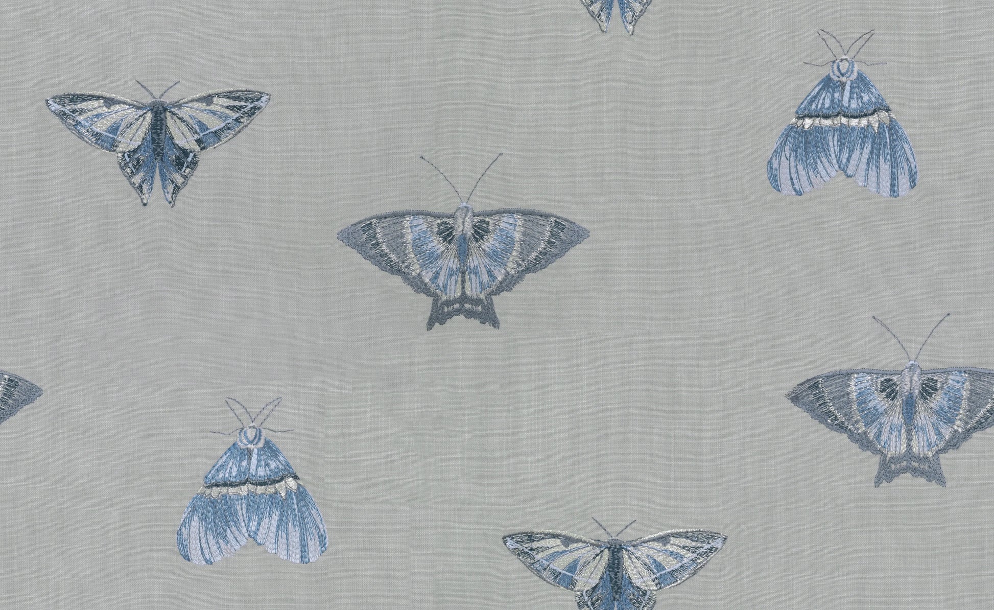 Nomad's Diary Edition 3 - Wizzy | Multipurpose Fabric Wizzy-Electric