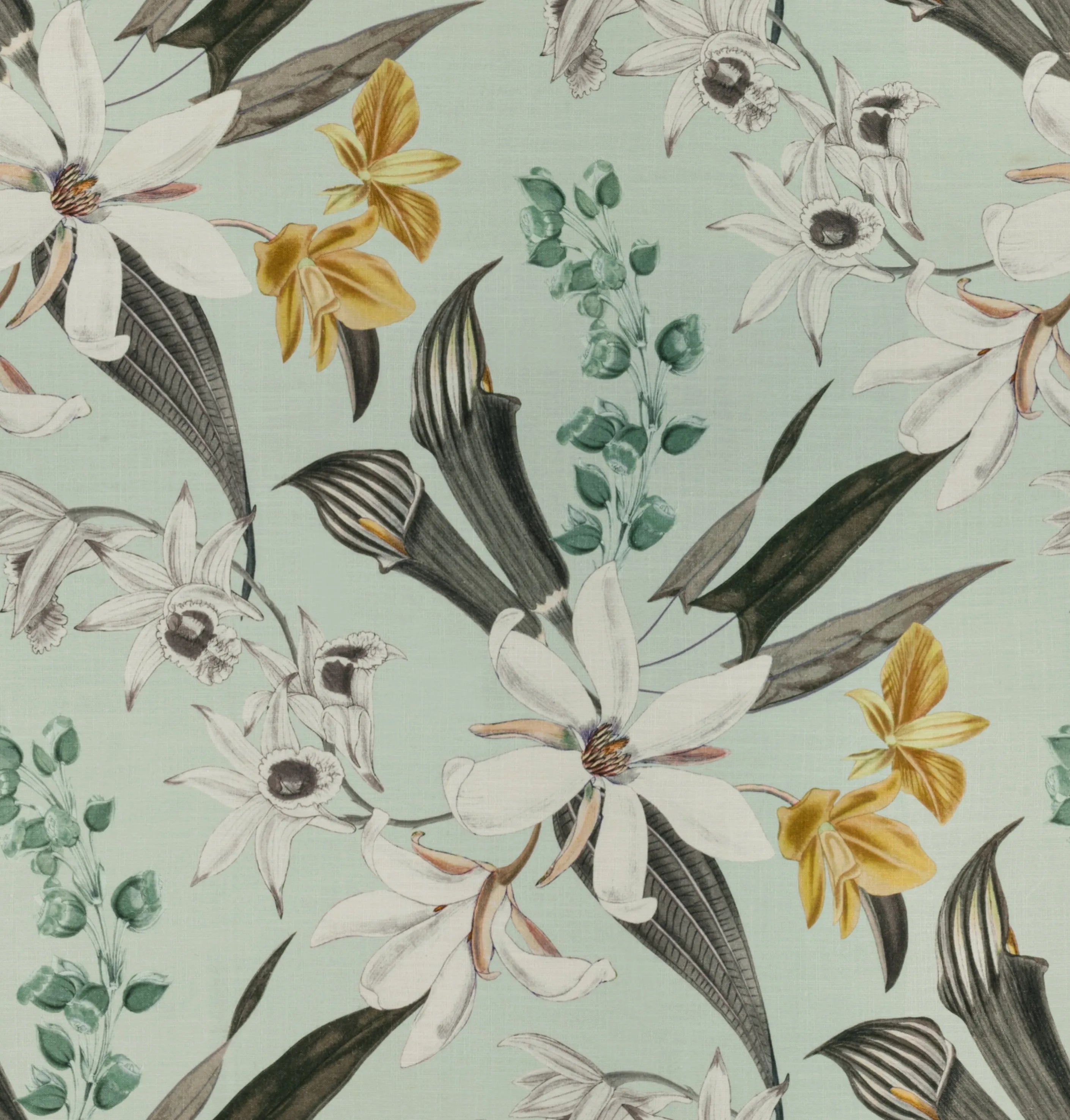 Nomad's Diary Edition 4 - Frangipani | Multipurpose Fabric Frangipani-Aqua Marine