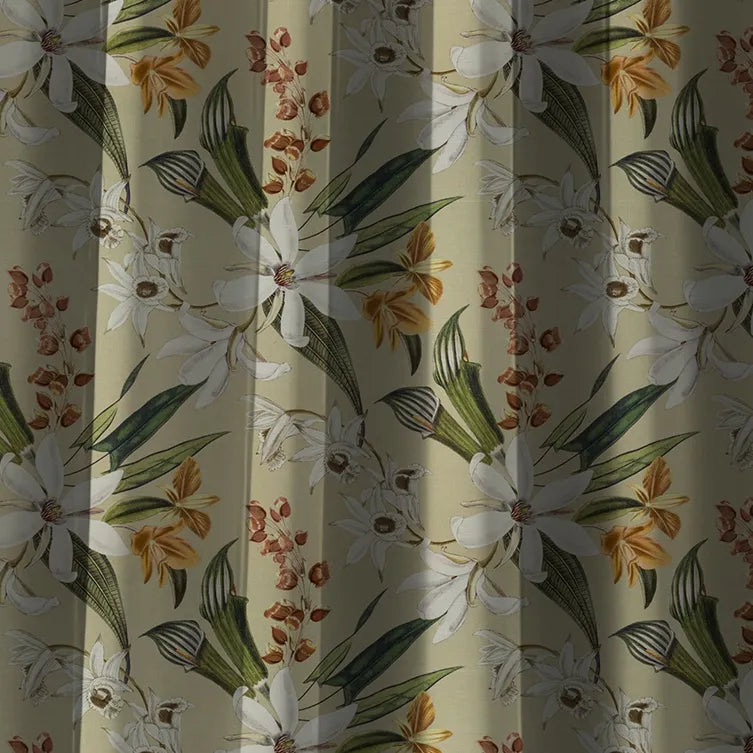 Nomad's Diary Edition 4 - Frangipani | Multipurpose Fabric Frangipani-Spring