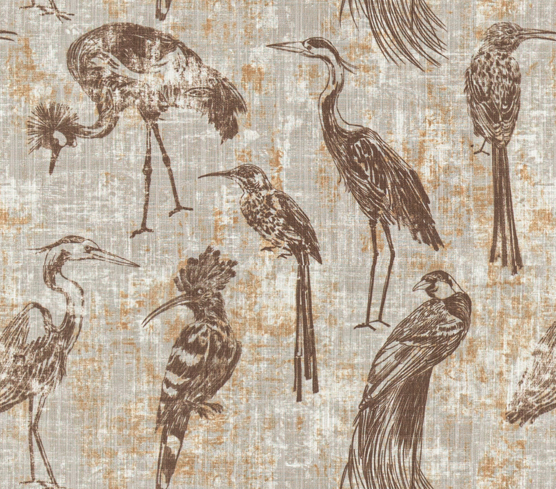 Nomad's Diary Edition 1 | Made-to-Order Light Filtering Curtains Brass-Safari